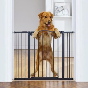 29–39.6" Width Auto Close Baby Gate